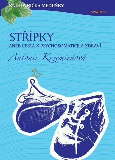 Střípky aneb cesta k psychosomatice a zdraví (e-kniha)