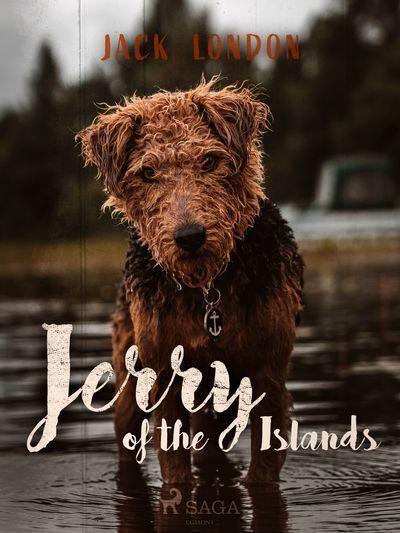 Jerry of the Islands (e-kniha)