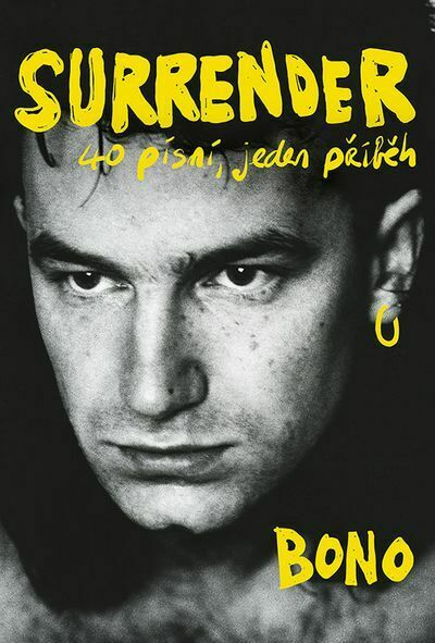 Surrender: 40 písní, jeden příběh (e-kniha)