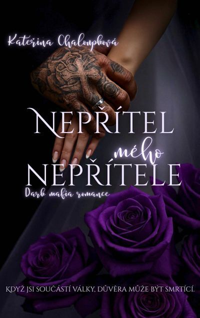 Nepřítel mého nepřítele (e-kniha)