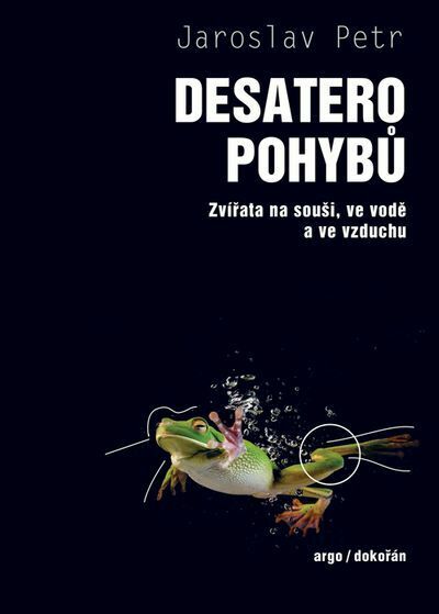 Desatero pohybů (e-kniha)