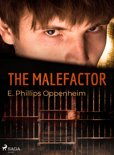 The Malefactor (e-kniha)