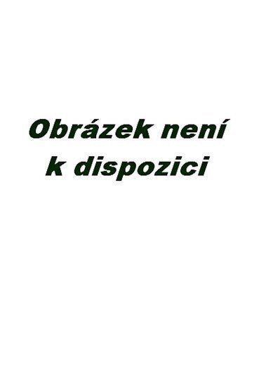 Hlazení duše (v anglickém jazyce)