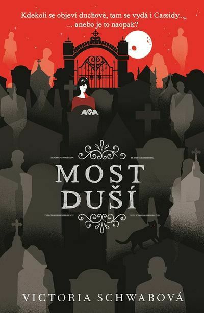 Most duší (e-kniha)