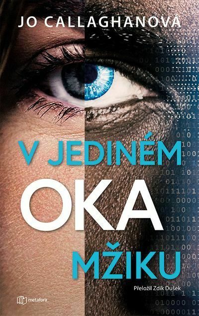 V jediném okamžiku (e-kniha)