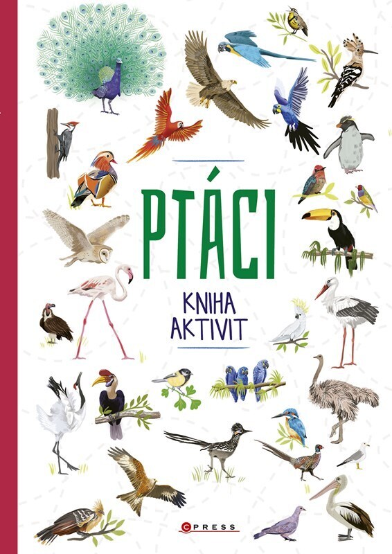 Ptáci - kniha aktivit