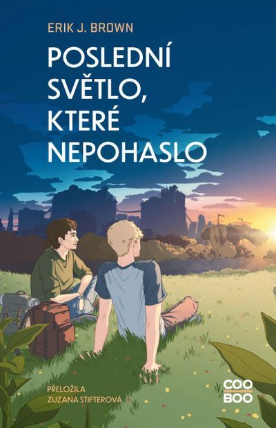 Poslední světlo, které nepohaslo (e-kniha)