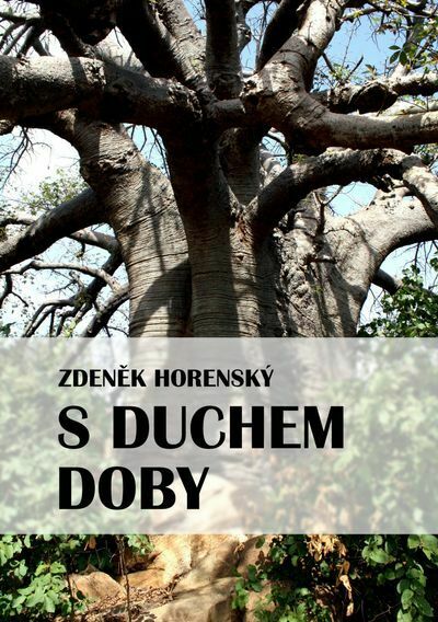 S duchem doby (e-kniha)