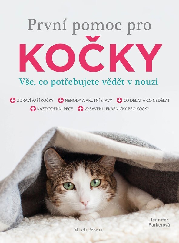 První pomoc pro kočky - Vše, co potřebujete vědět v nouzi