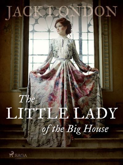 The Little Lady of the Big House (e-kniha)