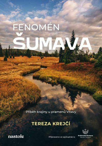 Fenomén Šumava (e-kniha)