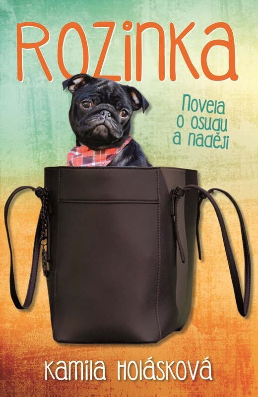 Rozinka - Novela o osudu a naději