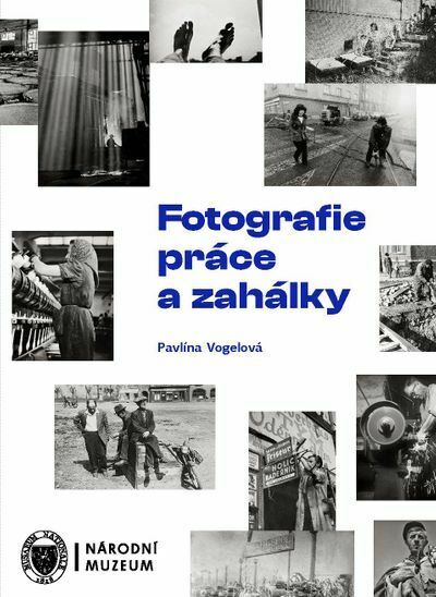 Fotografie práce a zahálky (e-kniha)
