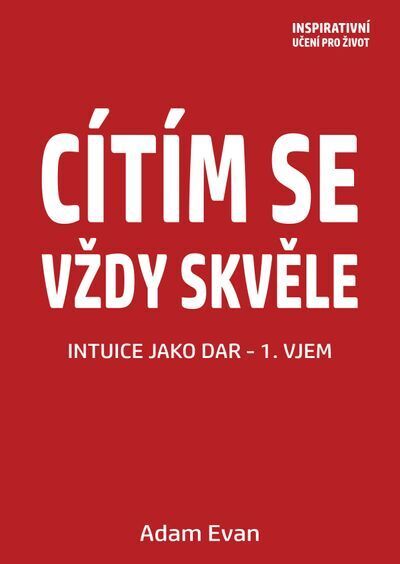 Cítím se vždy skvěle, Intuice jako dar 1. Vjem (e-kniha)