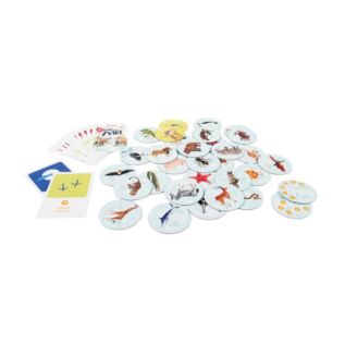 Kvído - Najdi zvíře