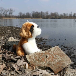 Plyšový pes bernardýn 20 cm ECO-FRIENDLY