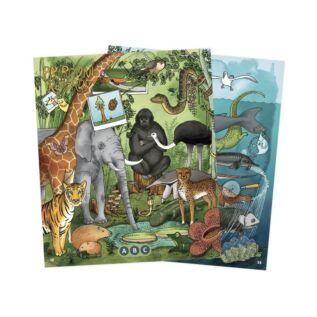 Albi Encyklopedie pro školáky Kouzelné čtení