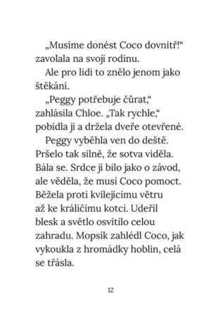 Ukázka