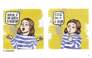 Ukázka