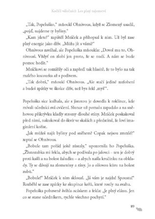 Ukázka
