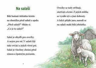 Ukázka