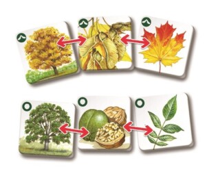 efko Pexetrio Stromy – dětské vzdělávací hry