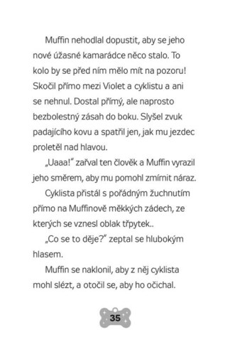 Ukázka