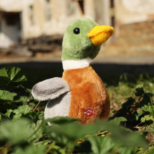 Plyšová kachna divoká se zvukem 21 cm ECO-FRIENDLY
