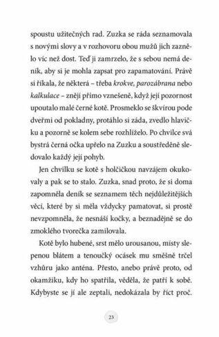 Ukázka