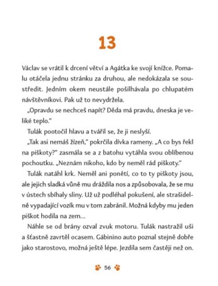 Ukázka