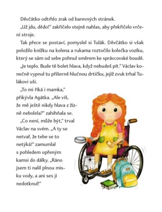 Ukázka