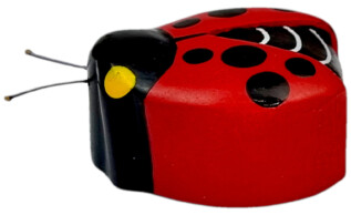 2Kids Toys Dřevěná magnetka velká Beruška