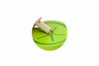 Dřevěná pyramida - žabka