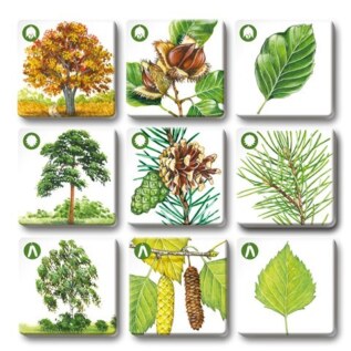 efko Pexetrio Stromy – dětské vzdělávací hry