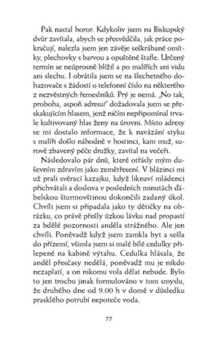 Ukázka