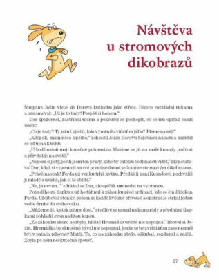 Ukázka