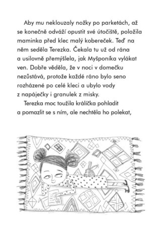 Ukázka