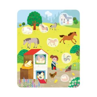 Kvído - Samolepkování: Koníci