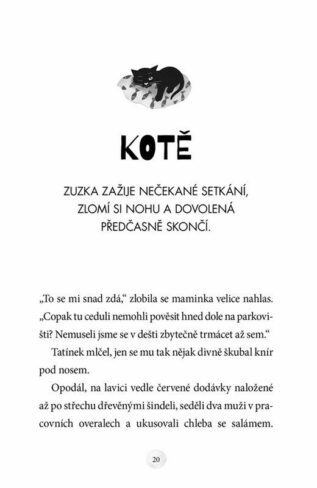 Ukázka
