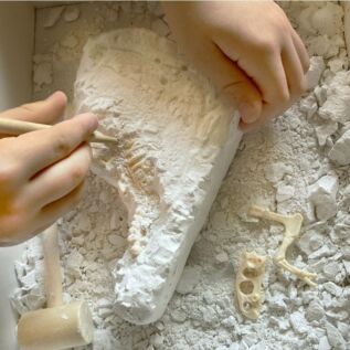 Posviť si na dinosaury: T-Rex