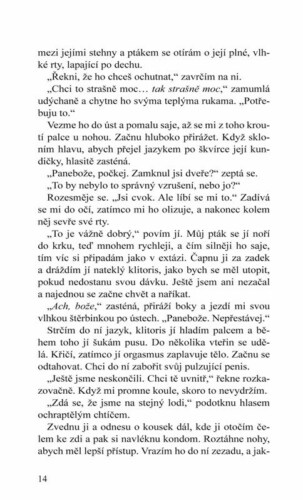 Ukázka