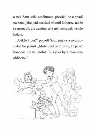 Ukázka