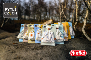 efko Pytlíczech Dáma - logická hra do kapsy