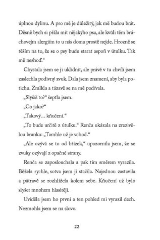 Ukázka