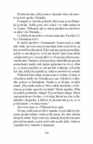 Ukázka