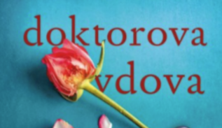 Doktorova žena - psychothriller