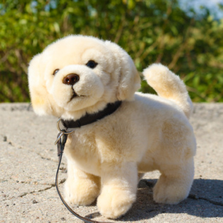 Plyšový pes zlatý retrívr s vodítkem 25 cm ECO-FRIENDLY