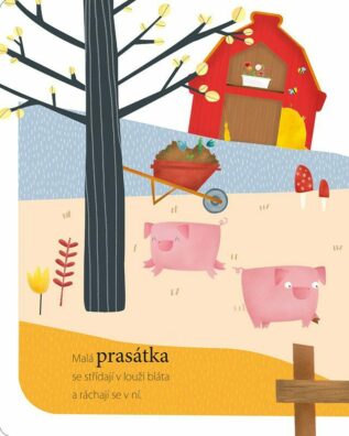 Ukázka