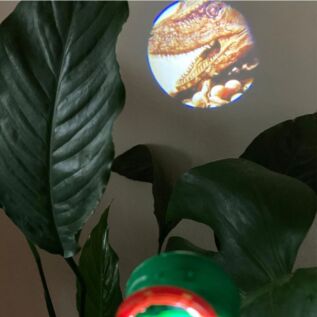 Posviť si na dinosaury: T-Rex