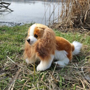 Plyšový pes King Charles španěl 28 cm ECO-FRIENDLY